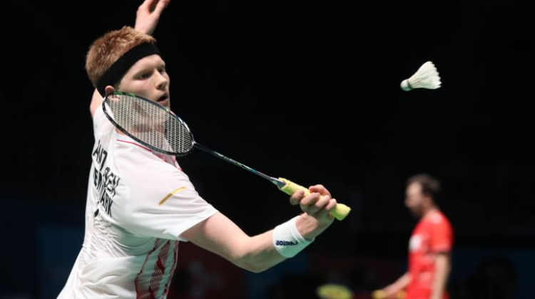 文化交流的 文化交流的